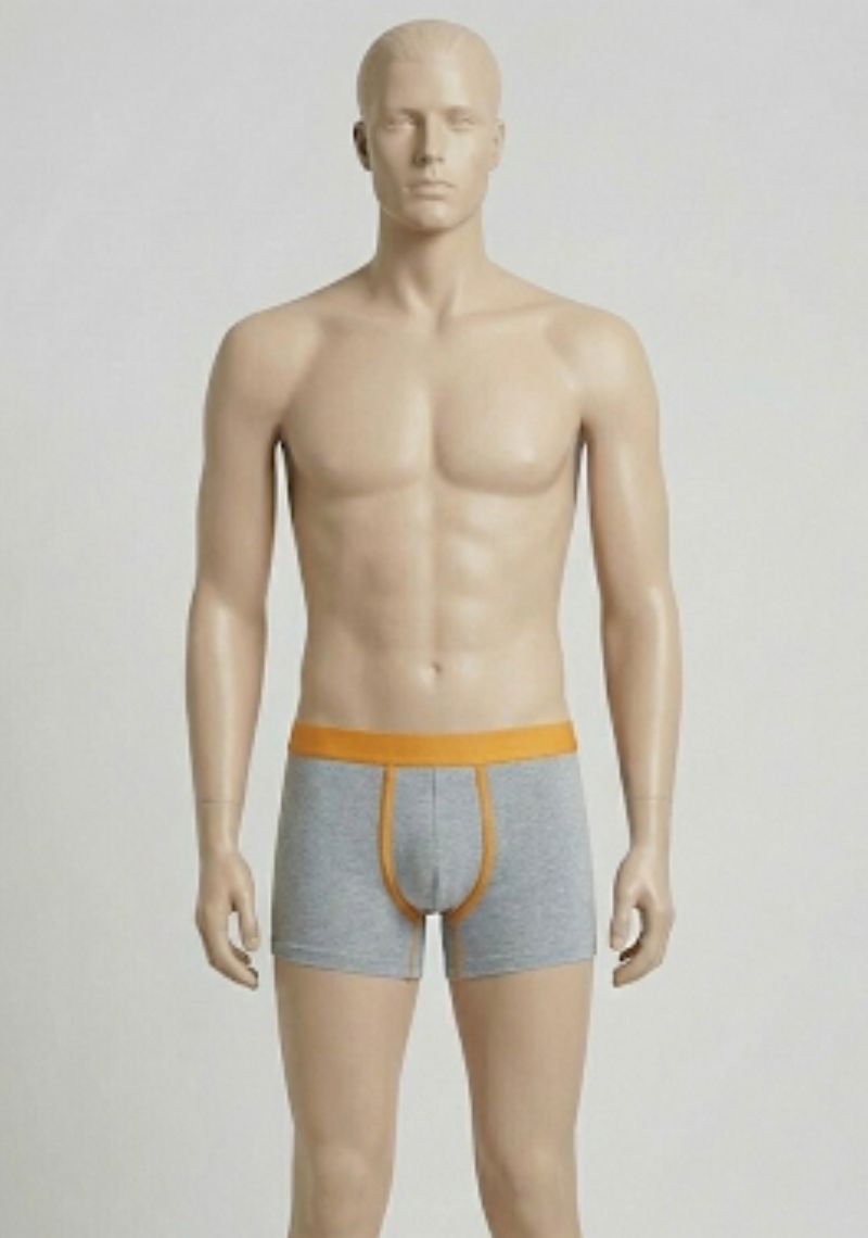 MENS TRUNK [ED] - GREY MELANGE ORANGE