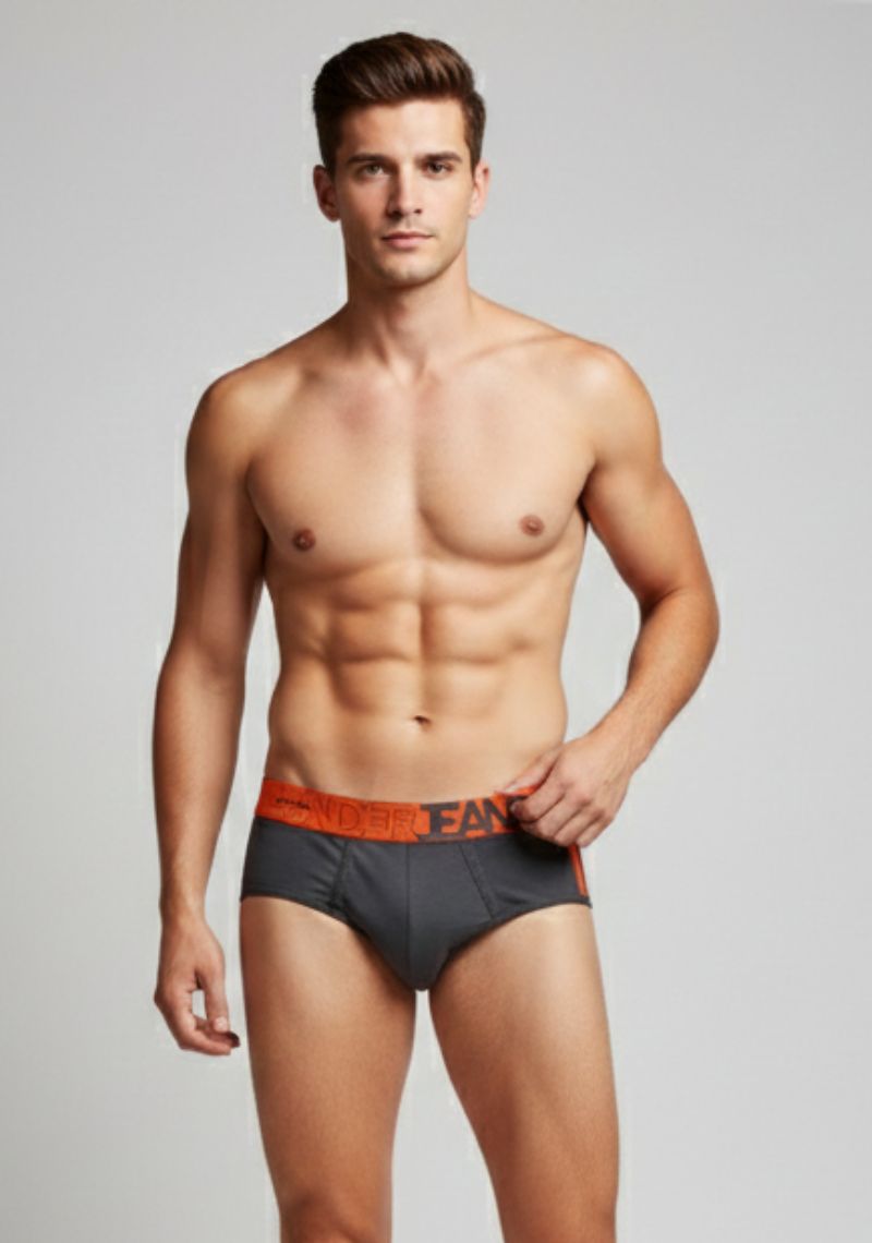 MENS BRIEFS [SL] - DARK GREY